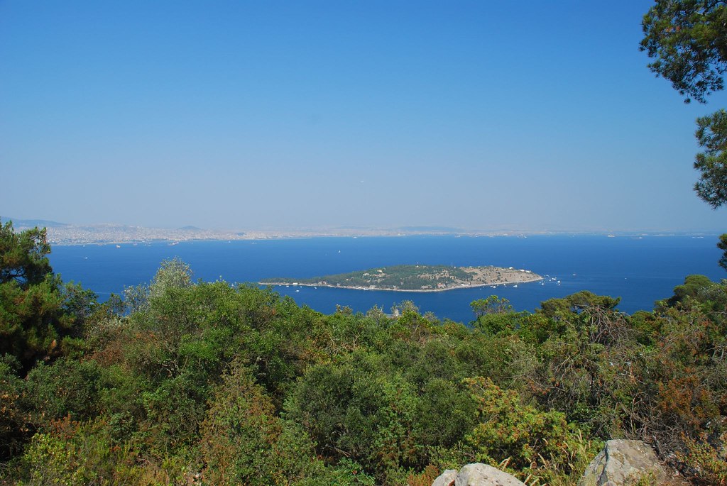 Coastal rocky reefs and transparent waters ideal for diving